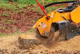Lawn Renovation and Restoration in Crosby, TX